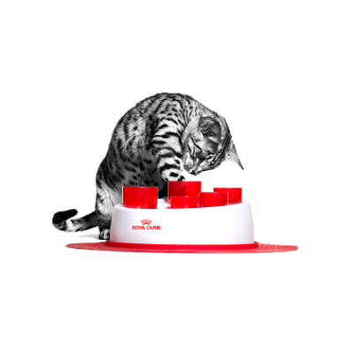 Інтерактивна кормушка Royal Canin
